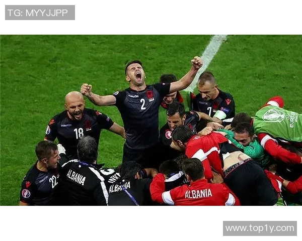 罗马尼亚与阿尔巴尼亚比赛主裁判的执法表现分析与讨论 罗马尼亚与阿尔巴尼亚比赛主裁判的执法表现分析与讨论